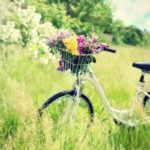 bicycle-750