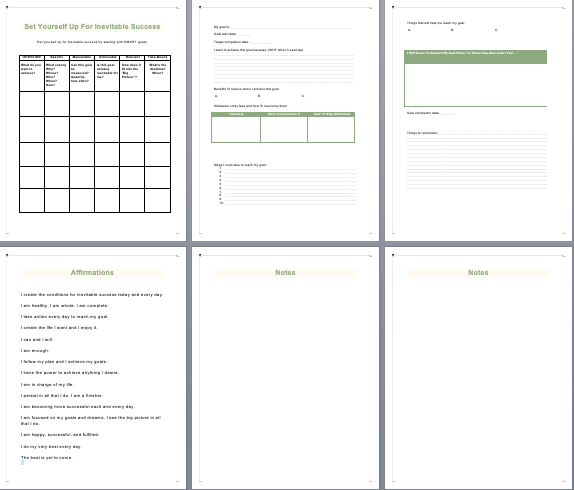 Set Yourself Up For Inevitable Success Workbook
