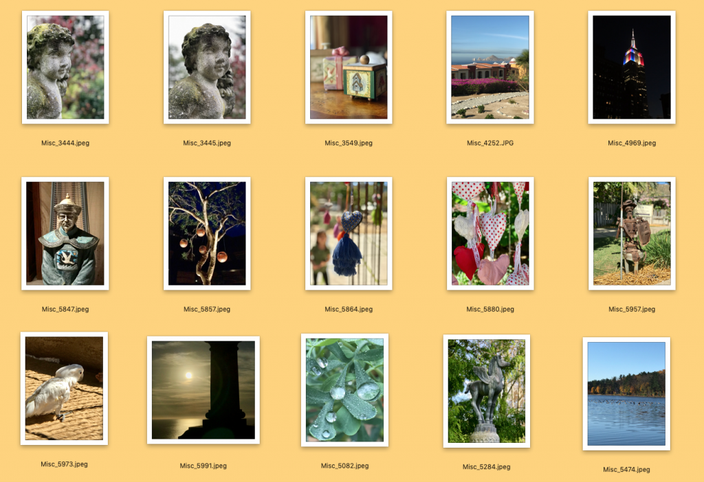 15 Misc Photos