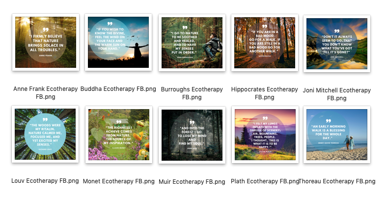 ecotherapy-social_images